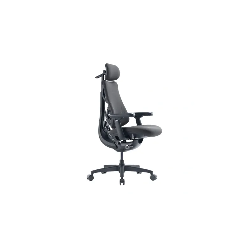 LiberNovo Omni GEN 48 cm Ergonomic Chair (Graphite)